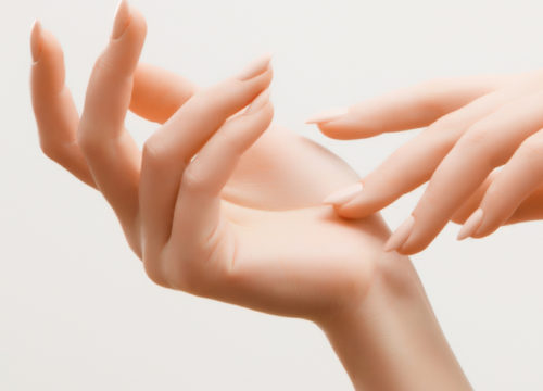 Photo of a woman's hands